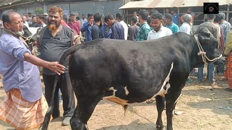 আজ মঙ্গলবার ২৭ ফেব্রুয়ারী২৪ ৬৭০ টাকা মাংসের কেজি অর্ডার নিয়ে কেন