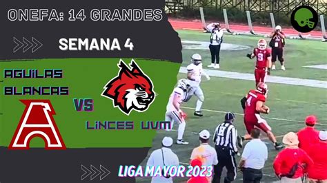 Guilas Blancas Vs Linces Uvm Sem Grandes Liga Mayor Onefa