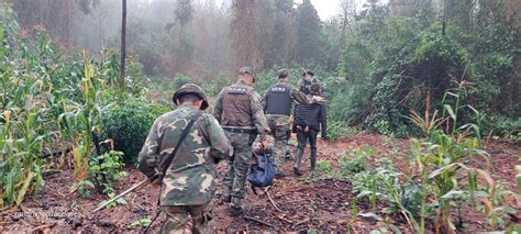 En Misiones Se Redujeron Significativamente Los Delitos En Zonas Rurales