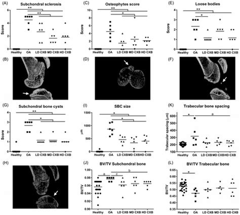 Full Article Controlled Release Of Celecoxib Inhibits Inflammation