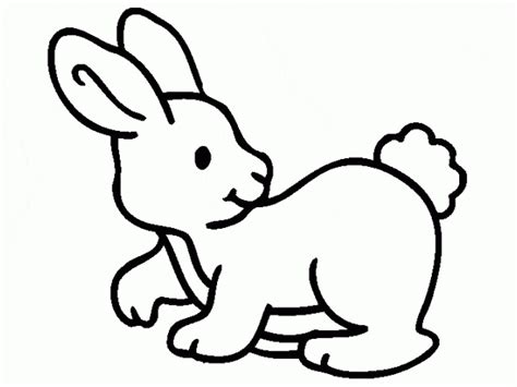 The Outline Of A Rabbit Sitting Down