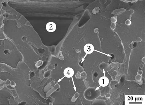 Fracture Surface Showing Fiber Pullout And Matrix Fracture As Well