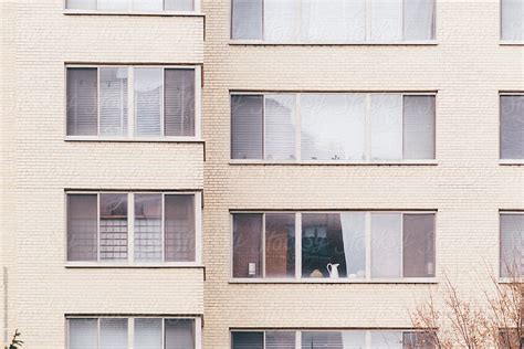 The Hidden Trick To Unsticking Your Stuck Apartment Windows