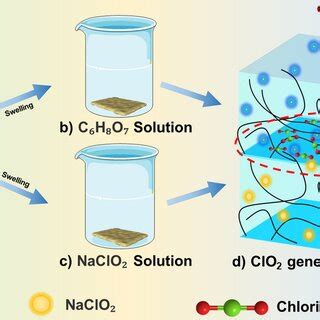 A Schematic Of The Network Structure Of Gel Hydrogel B Gel