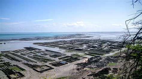 Cancale oysters beach | Jeremy Herve