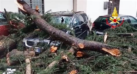 Maltempo Centinaia Di Interventi Dei Vigili Del Fuoco Tra Lazio E