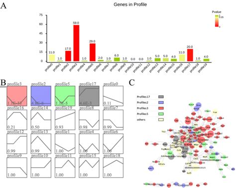 Expression Trend Analysis Of Common Differentially Expressed Genes The