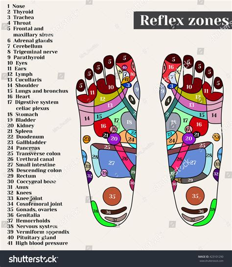 Acupuncture Points On Feet Reflex Zones Stock Vector (Royalty Free ...