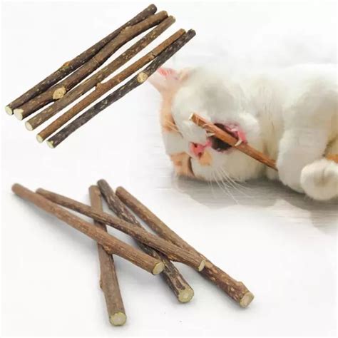 X Natural Matatabi Silvervine Dental Cat Sticks Catnip Chew Toy Tee