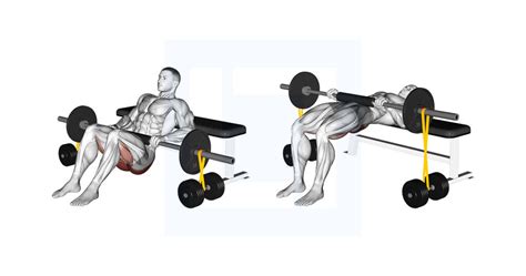 Barbell Hip Thrust With Resistance Band Guide Benefits And Form