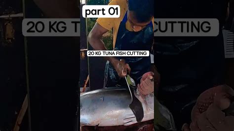 Big Tuna Fish Cutting Skills Mr Amith Good Fish Cutting Part