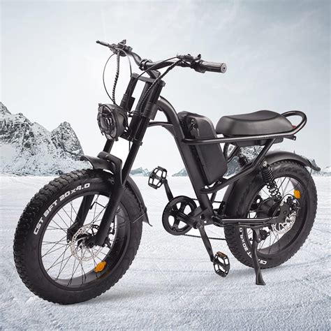 Ienyrid 20x4 Inch Fat Tire Electric Bike For Adults 48v 156ah Removable Battery Double Disc