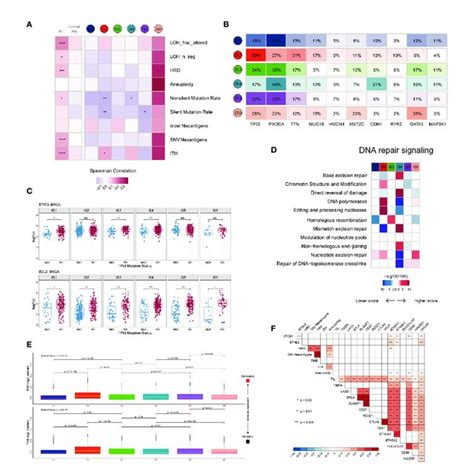 Potential Intrinsic Regulation And Genomic Alterations In Breast