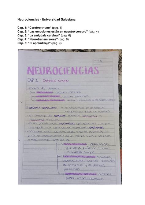 SOLUTION Neurociencias Studypool