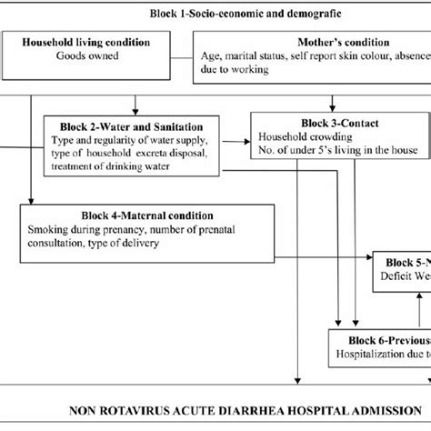 Conceptual framework with inter-relationships between risk factors and ... 
