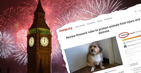 More than half a million people sign petition to ban fireworks | Metro News