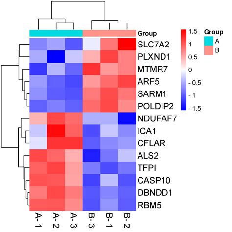 Heatmap Plot