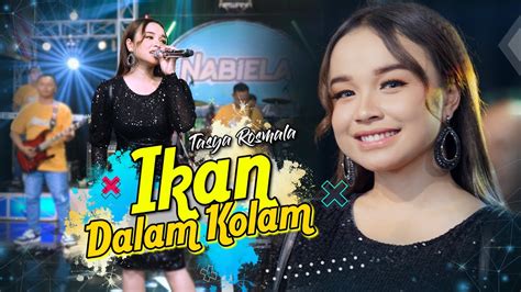 Tasya Rosmala IKAN DALAM KOLAM Official Live Music OM NABIELA