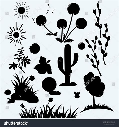 Pussy Willow Silhouette Images Stock Photos Vectors Shutterstock