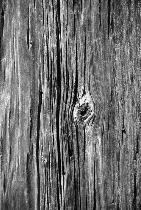 Vieja Textura De Madera Blanco Y Negro Imagen De Archivo Imagen De