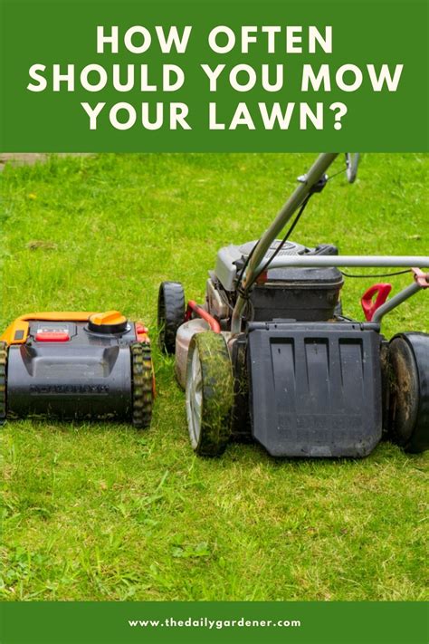 How Often Should You Mow Your Lawn