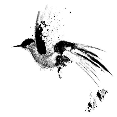 30,365 Birds Pen Ink Drawings Royalty-Free Images, Stock Photos ...