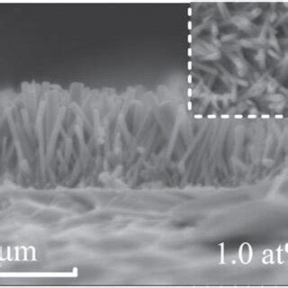 Sem Images Of Top View And Cross Section Of Zno Nanowires Prepared With