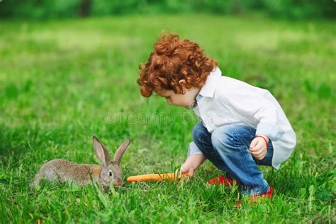 Boy Feeding Rabbit With Carrot In Park Stock Image Image Of Children