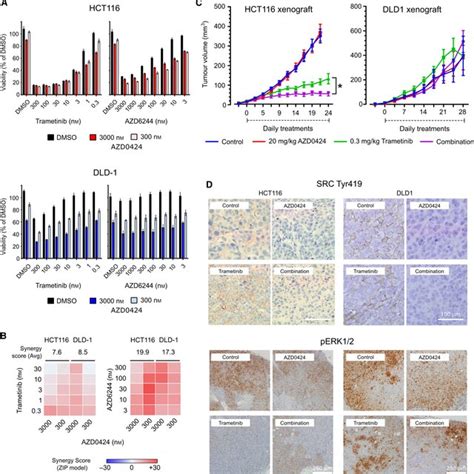 Mek And Src Inhibitors Synergistically Inhibit Proliferation A