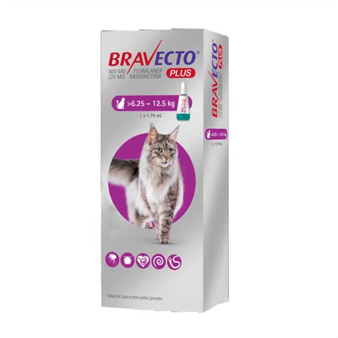 Bravecto Plus Pipeta Para Gatos 625kg 125kg Royalpet