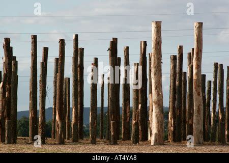 Woodhenge reconstruction at Woodbridge North Newnton Britain located in ...