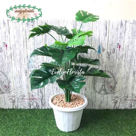 Promo Pohon Monstera Tapak Gajah X18 Semi Latex Artificial Pot Motif