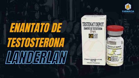 Enantato de testosterona Landerlan Farmácia Distribuidora