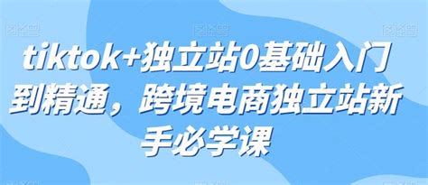 Tiktok 独立站0基础入门到精通，跨境电商独立站新手必学课 项目集市