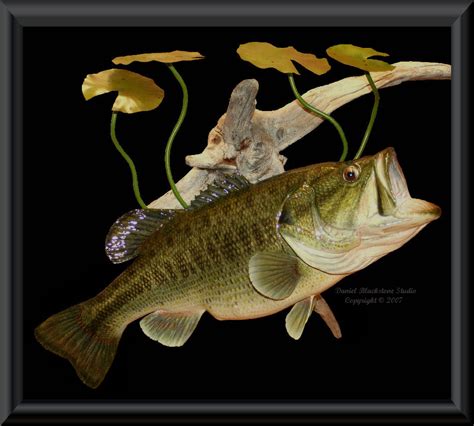 Largemouth Bass Fish Mounts And Replicas