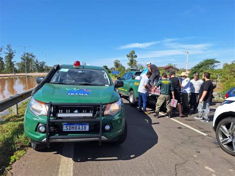 Ibama RS junta se à força tarefa no Rio Grande do Sul no trabalho de