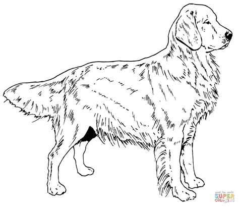 Labrador Retriever Silhouette At Getdrawings Free Download