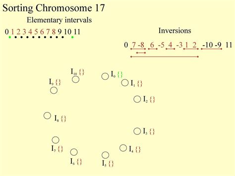 Conservation Of Combinatorial Structures In Evolution Scenarios Ppt