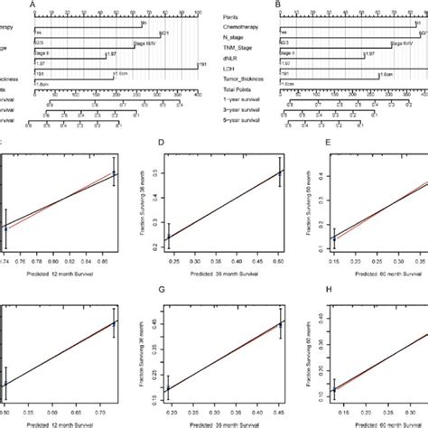 Nomogram And Calibration Curve For Predicting The Probability Of OS And