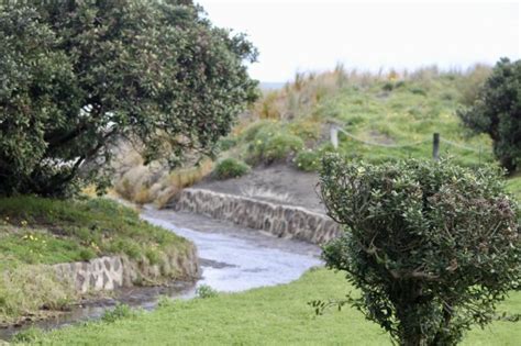 Piha Beach and Nature - Virily