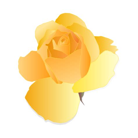 yellow roses - Clip Art Library