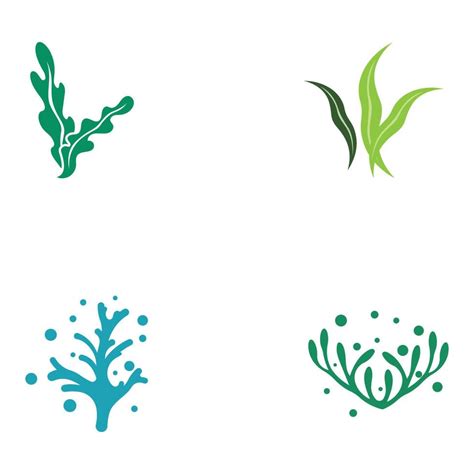 Seaweed Logo With Template Illustration Vector Design 9963004 Vector