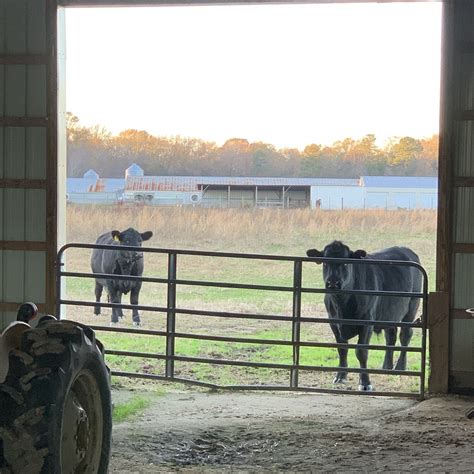 Eastern Shore Farms