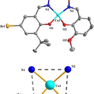 Synthetic route to H2L and its Cu (II), Co (II), and Ni (II) complexes ... 