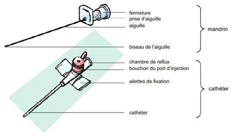 Comment Poser Un Cathéter Veineux Cathéters