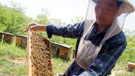 Strathcona Beekeepers Library Chinese Laundered Honey