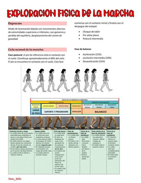 Exploraci N F Sica De La Marcha Hami Notes Udocz