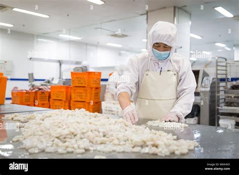 Planta procesadora de alimentos fotografías e imágenes de alta