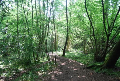 Hurst Wood N Chadwick Geograph Britain And Ireland