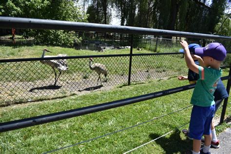 Willow Park Zoo in Logan